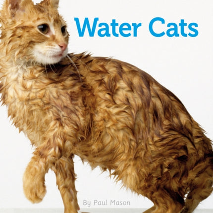 CONNECTORS SILVER WATER CATS