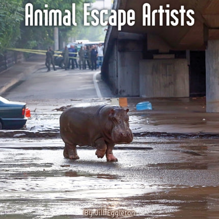 ANIMAL ESCAPE ARTISTS