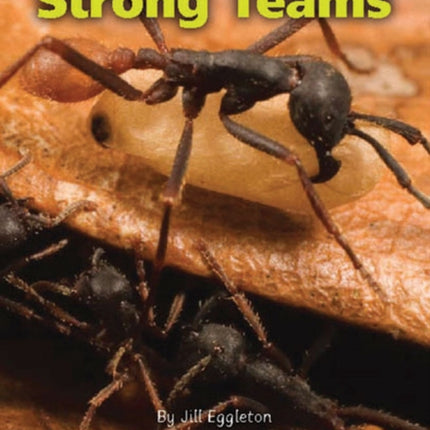 STRONG TEAMS