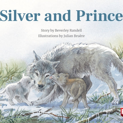 Silver  Prince X6