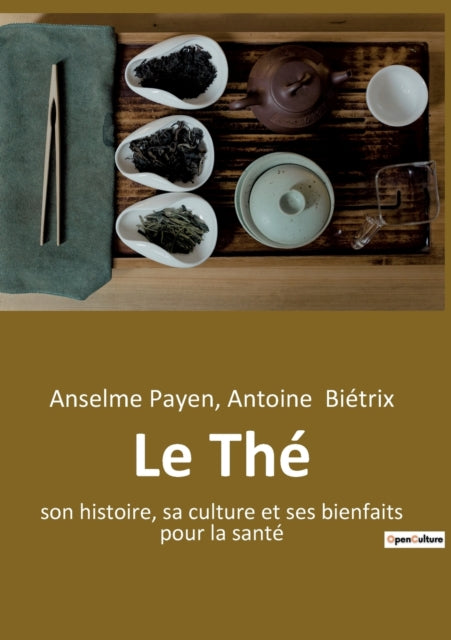 Le Thé: son histoire, sa culture et ses bienfaits pour la santé