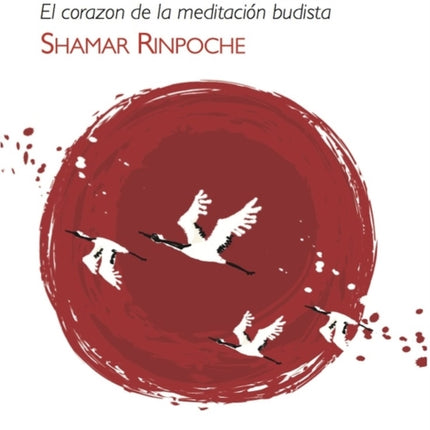 Despertar Sin Limites: El corazón de la meditación budista