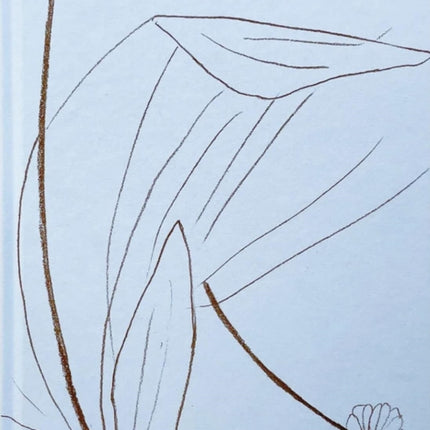 Carnets