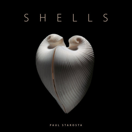 Shells