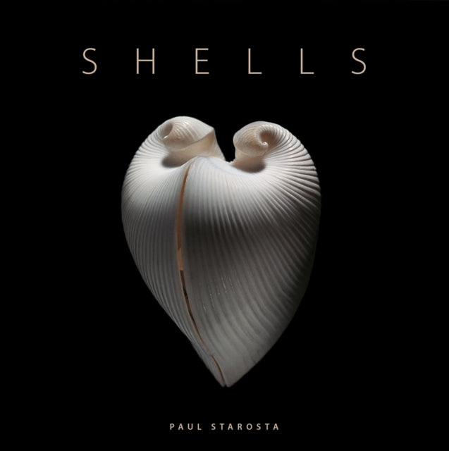 Shells