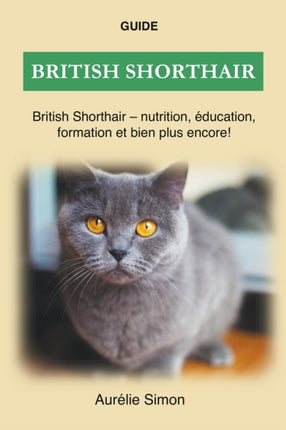 British Shorthair - Nutrition, Éducation,