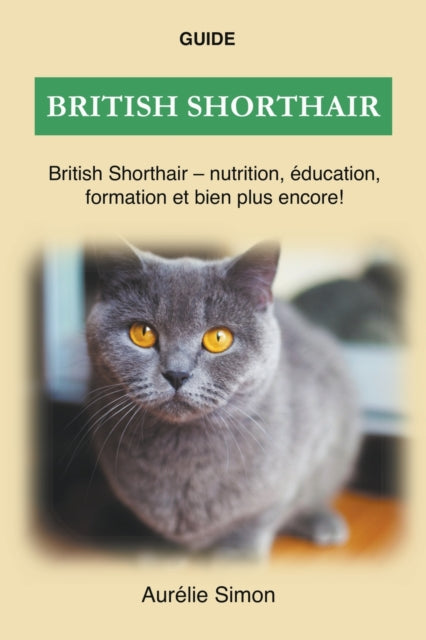 British Shorthair - Nutrition, Éducation,