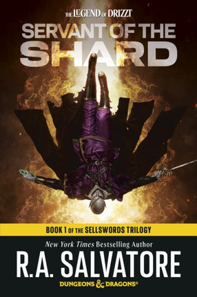 Servant of the Shard Dungeons  Dragons