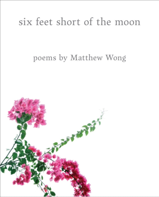 Six Feet Short of the Moon Poems by Matthew Wong
