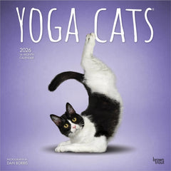 Collection image for: Calendars Books