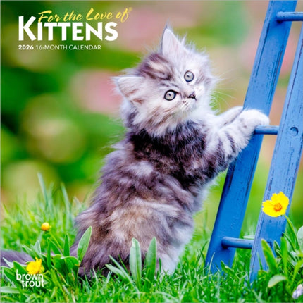 Kittens For the Love of 2026 Mini 7x7 Calendar