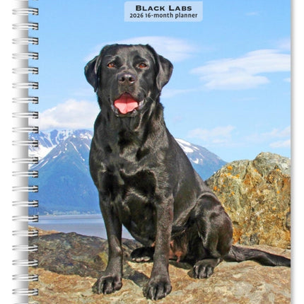 Black Labrador Retrievers 2026 6 X 7.75 Inch SpiralBound WireO Weekly Engagement Planner Calendar New FullColor Image Every Week