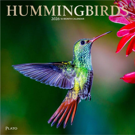 Hummingbirds  Kolibris 2026  16Monatskalender