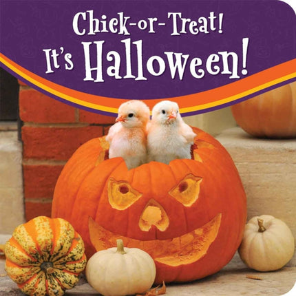 ChickorTreat Its Halloween