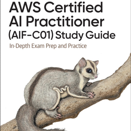 AWS Certified AI Practitioner Study Guide