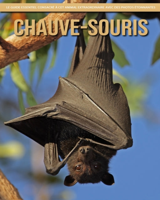 Chauve-Souris: Le Guide Essentiel Consacré à Cet Animal Extraordinaire avec des Photos Étonnantes