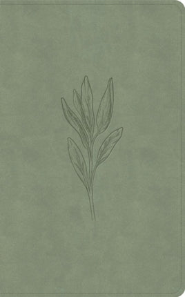 KJV SingleColumn Personal Size Bible Sage Suedesoft Leathertouch