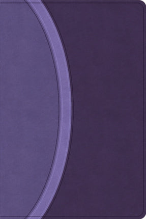 CSB Rainbow Study Bible Purple Leathertouch Limited Edition