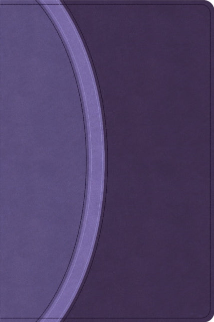 CSB Rainbow Study Bible Purple Leathertouch Limited Edition