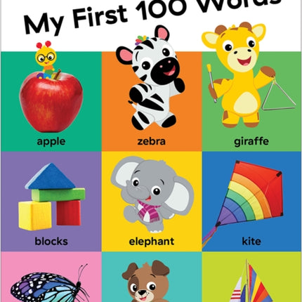 Baby Einstein My First 100 Words