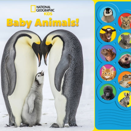 National Geographic Kids Baby Animals Sound Book