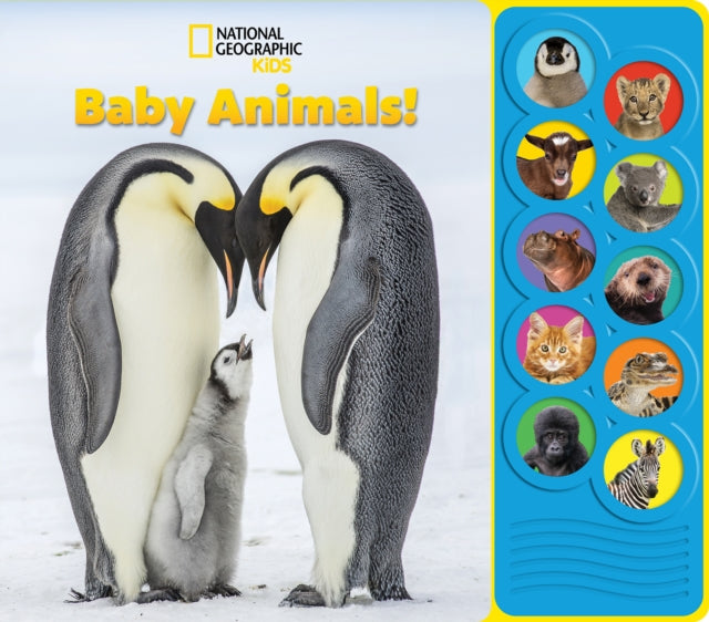 National Geographic Kids Baby Animals Sound Book