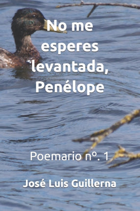 No me esperes levantada, Penélope: Poemario n°. 1