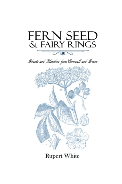 Fern Seed & Fairy Rings: Plants and Plantlore from Cornwall and Devon