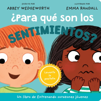 Para Qué Son Los Sentimientos