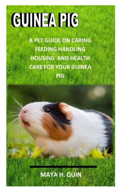 Guinea Pig: A pet guide on caring, feeding