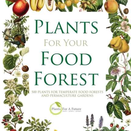 Plants for Your Food Forest: 500 Plants for Temperate Food Forests and Permaculture Gardens