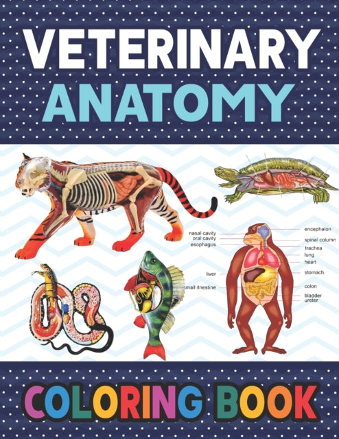 Veterinary Anatomy Coloring Book: Learn The Veterinary Anatomy With Fun & Easy. Animal Anatomy and Veterinary Physiology Coloring Book. Dog Cat Horse Frog Bird Anatomy Coloring book. Vet tech coloring books. Handbook of Veterinary Anesthesi