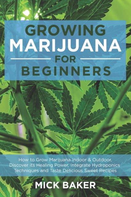 Growing Marijuana for Beginners: How to Grow