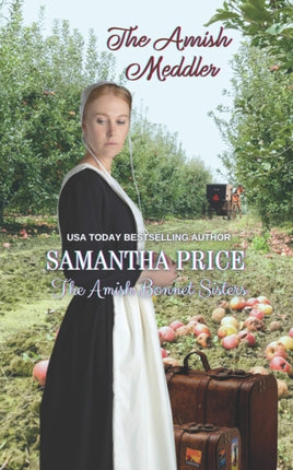 The Amish Meddler: Amish Romance