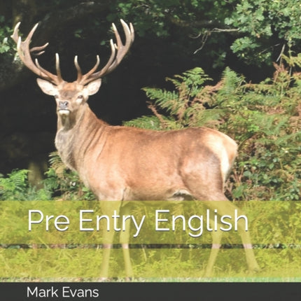 Pre Entry English