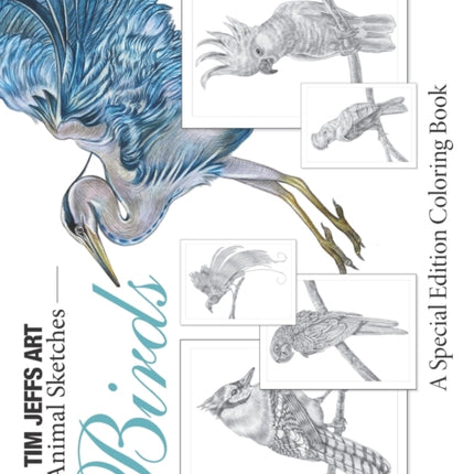 Birds: A Special Edition Coloring Book