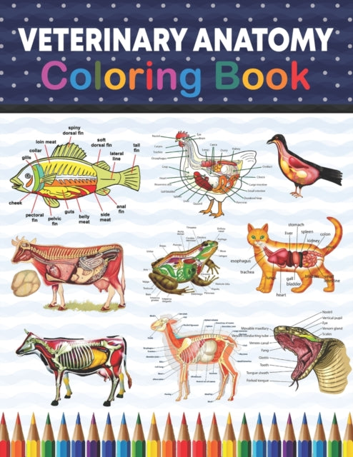 Veterinary Anatomy Coloring Book: Incredibly Detailed Self-Test Veterinary Anatomy Coloring Book for Animal Anatomy Students Veterinary Anatomy self test guide for students. Veterinary Anatomy Coloring Workbook for Medical & Nursing Student