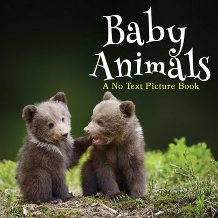 Baby Animals A No Text Picture Book