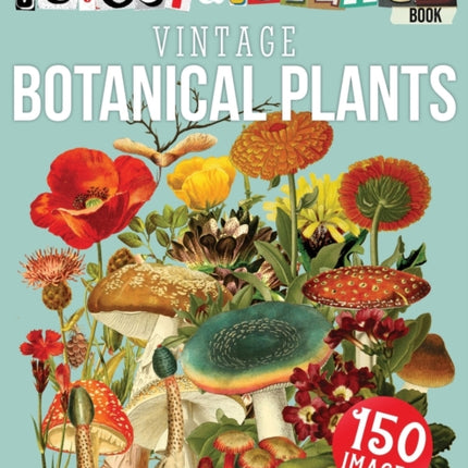 The Cut Out And Collage Book Vintage Botanical Plants: 150 High Quality Vintage Plants Illustrations For Collage and Mixed Media Artists