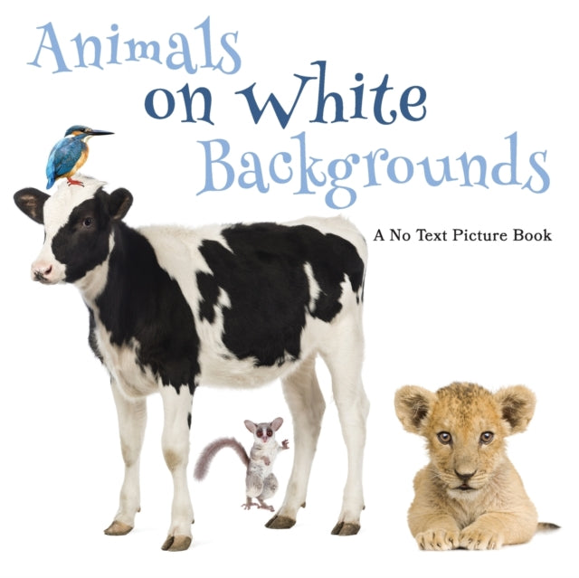 Animals on White Backgrounds A No Text Picture Book