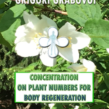 Concentration on Plant Numbers for Body