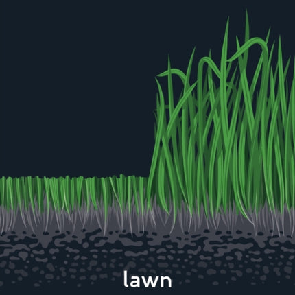 Lawn
