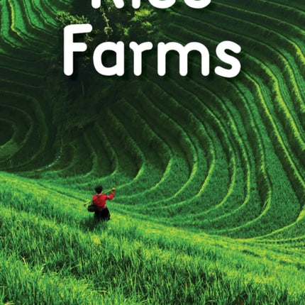 Rice Farms: Level 1: Book 22