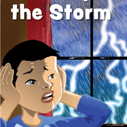 The Boy and the Storm: Level 1: Book 23
