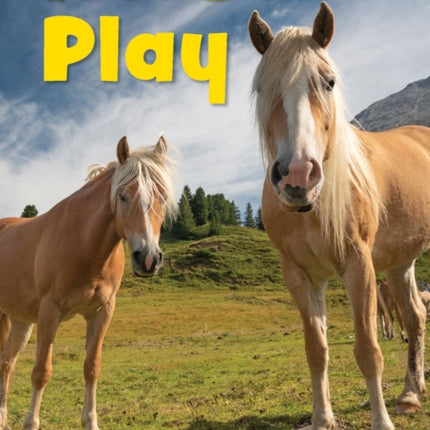 Horse Play: Level 1: Book 26
