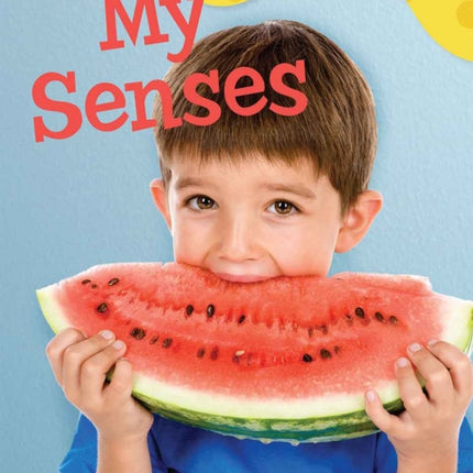 My Senses