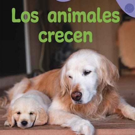 Los animales crecen