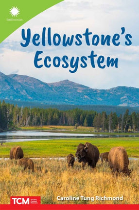 Yellowstones Ecosystem
