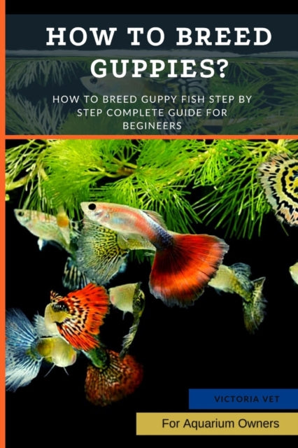 How to Breed Guppies?: How To Breed Guppy Fish