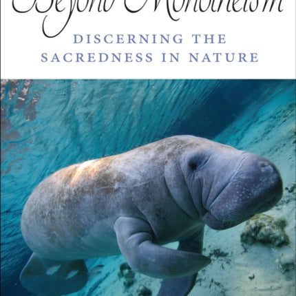Beyond Monotheism